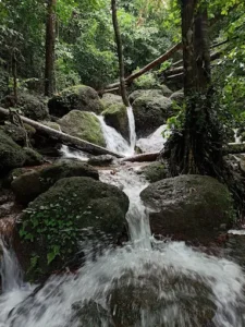 unnamed - 2025-09-23T122544.297