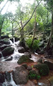 unnamed - 2025-09-23T122656.443