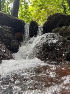 unnamed - 2025-09-23T122735.248